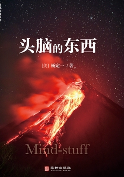 头脑的东西