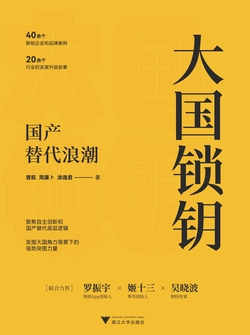 大国锁钥：国产替代浪潮
