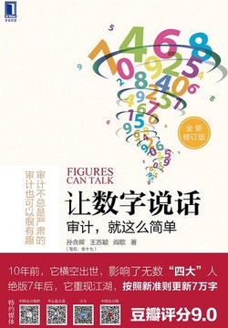 让数字说话：审计，就这么简单