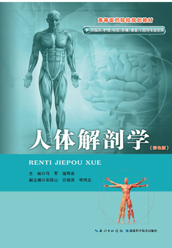 人体解剖学