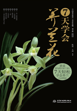 7天学会养兰花