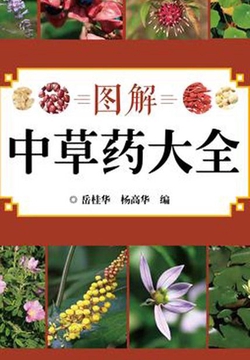 图解中草药大全