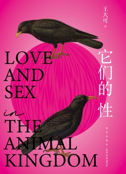 它们的性
