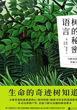 树的秘密语言