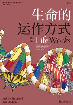 生命的运作方式