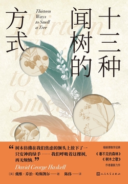 十三种闻树的方式