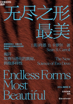 无尽之形最美