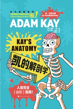 凯的解剖学