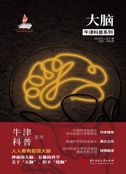 大脑