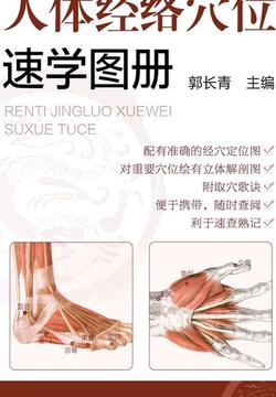 人体经络穴速学图册