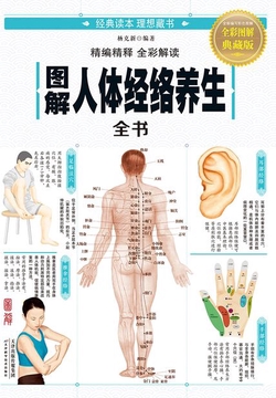图解：人体经络养生全书