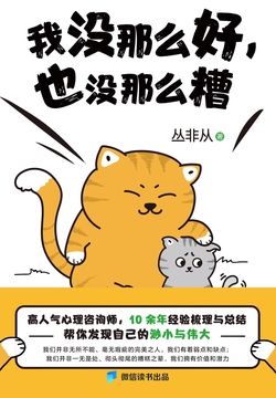 我没那么好，也没那么糟｜丛非从｜反内耗心理学，给自己积极的暗示